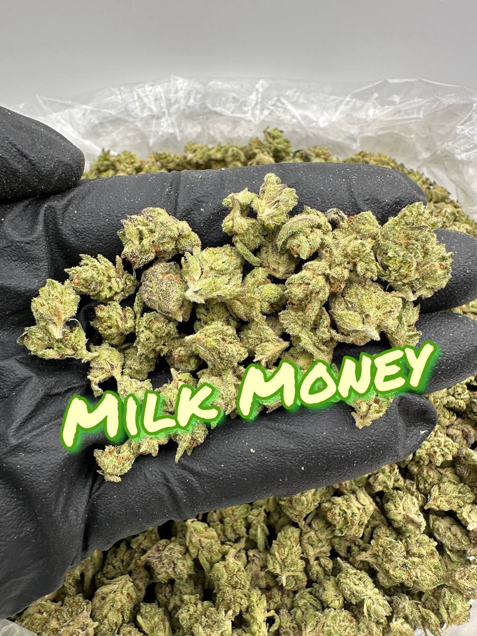 INDOOR SMALLS