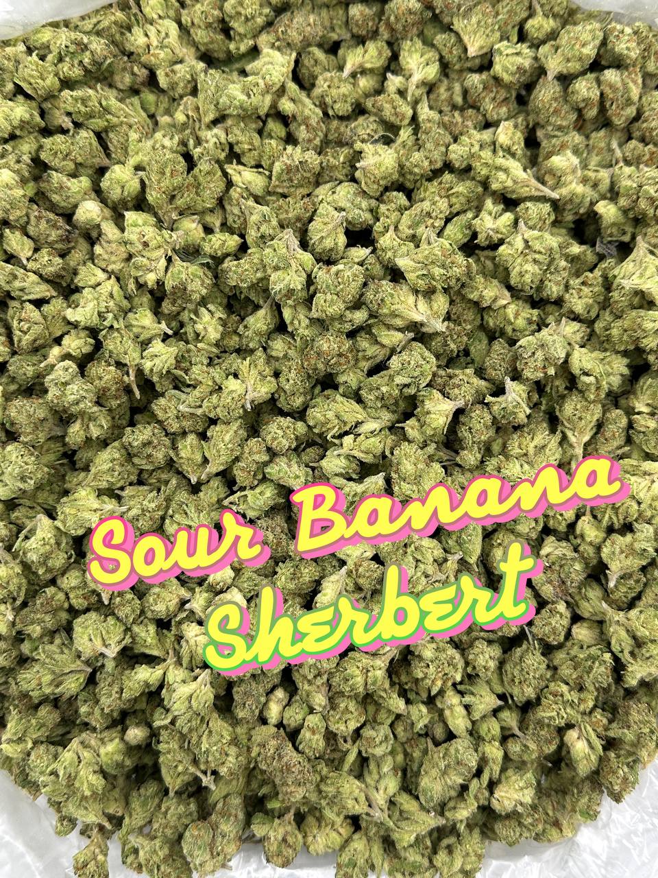 INDOOR SMALLS