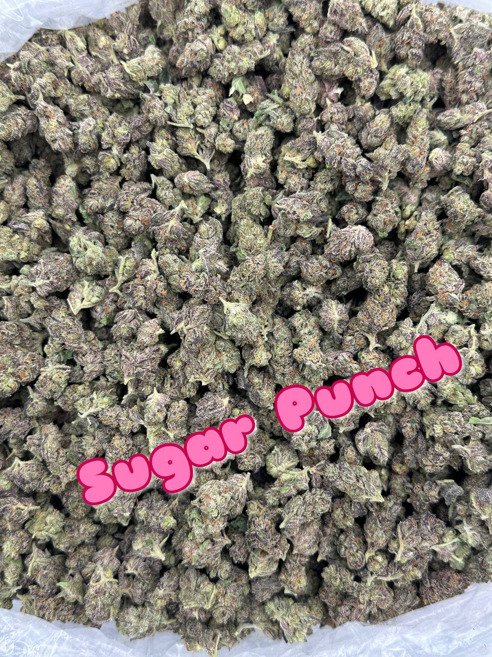 INDOOR SMALLS