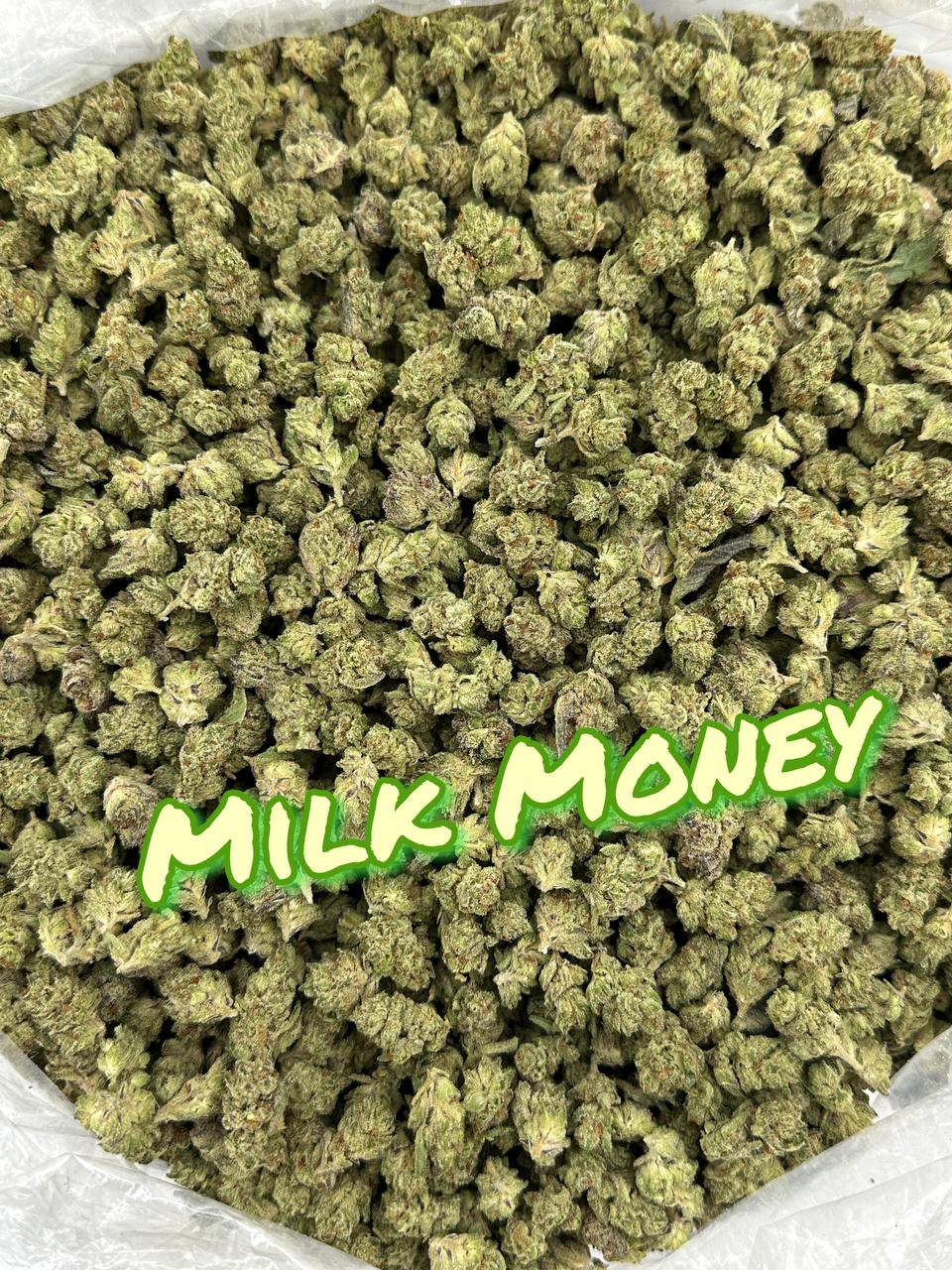 INDOOR SMALLS