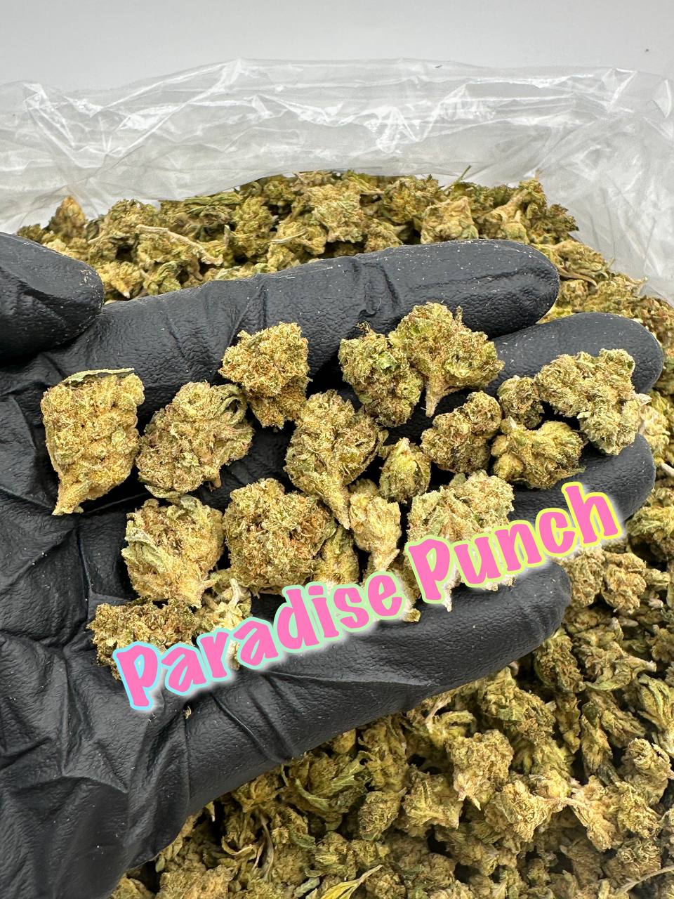 GREENHOUSE SMALLS