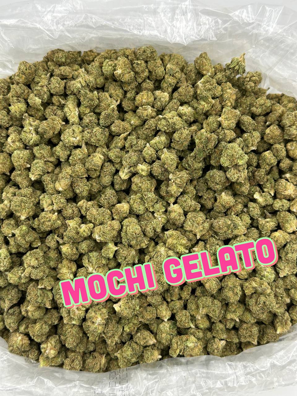GREENHOUSE SMALLS