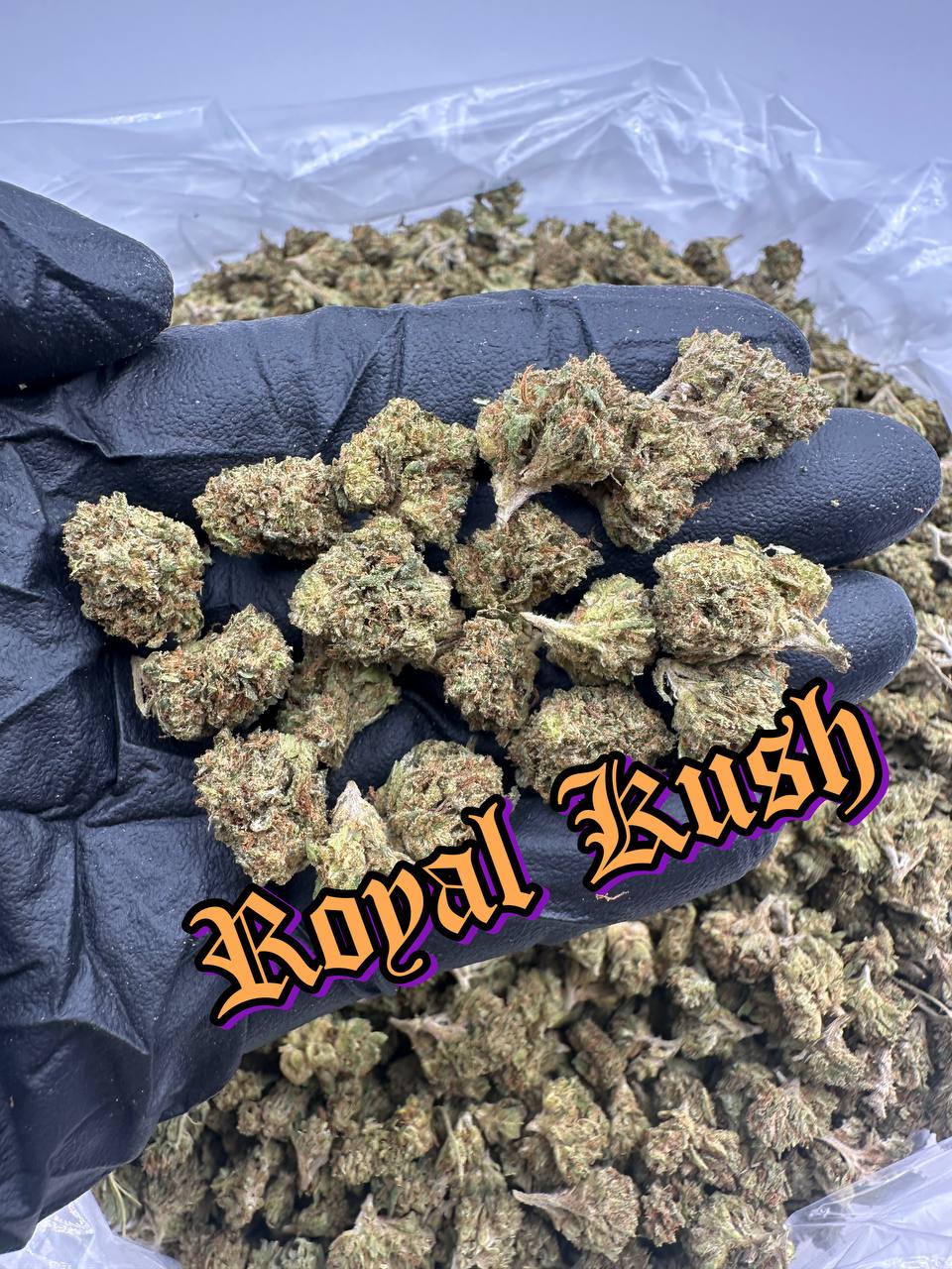 GREENHOUSE SMALLS