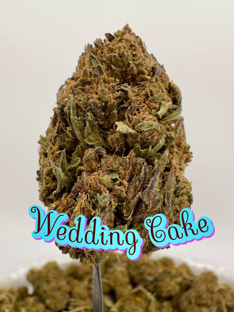 ORGANIC OUTDOOR