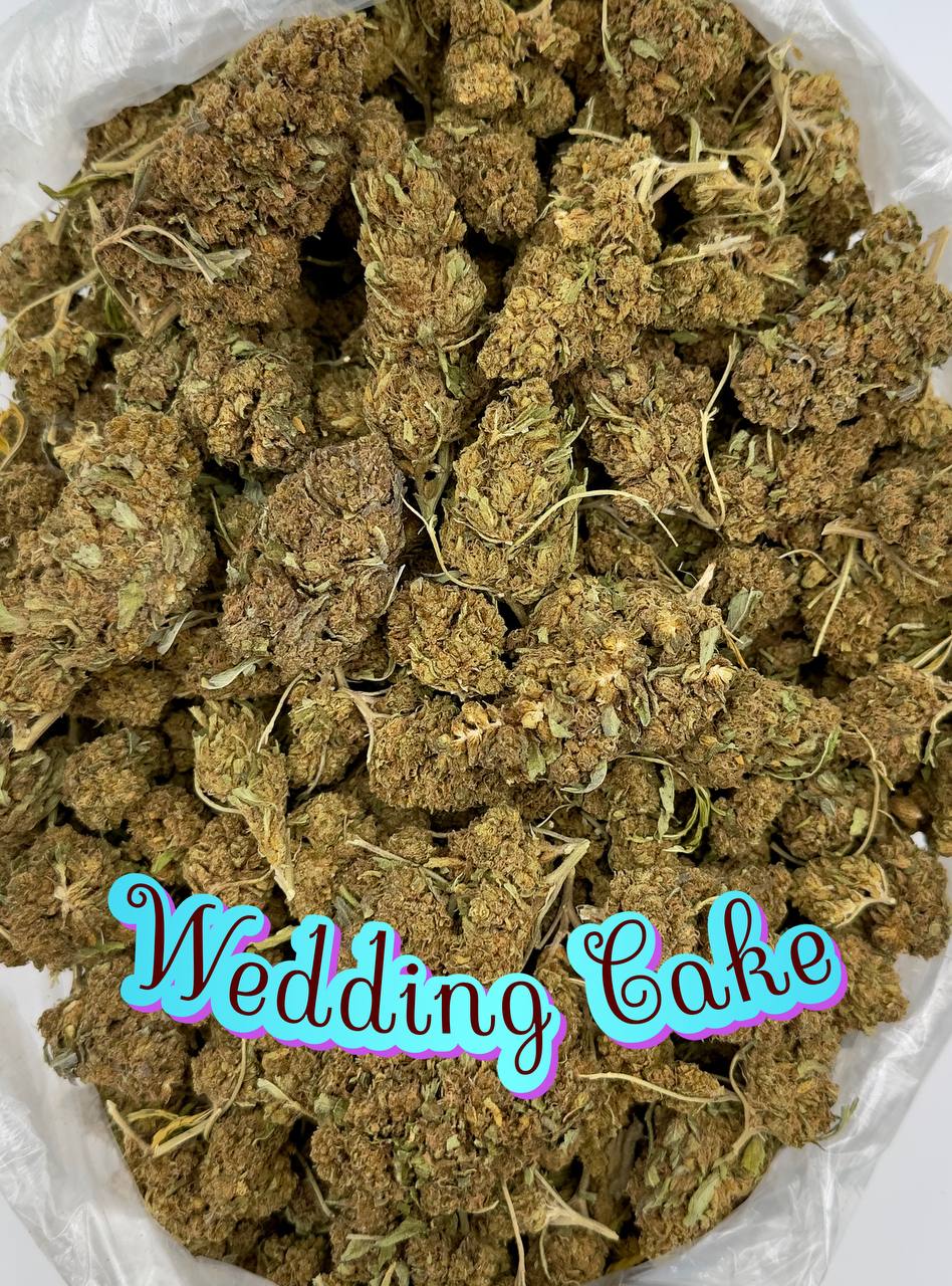ORGANIC OUTDOOR