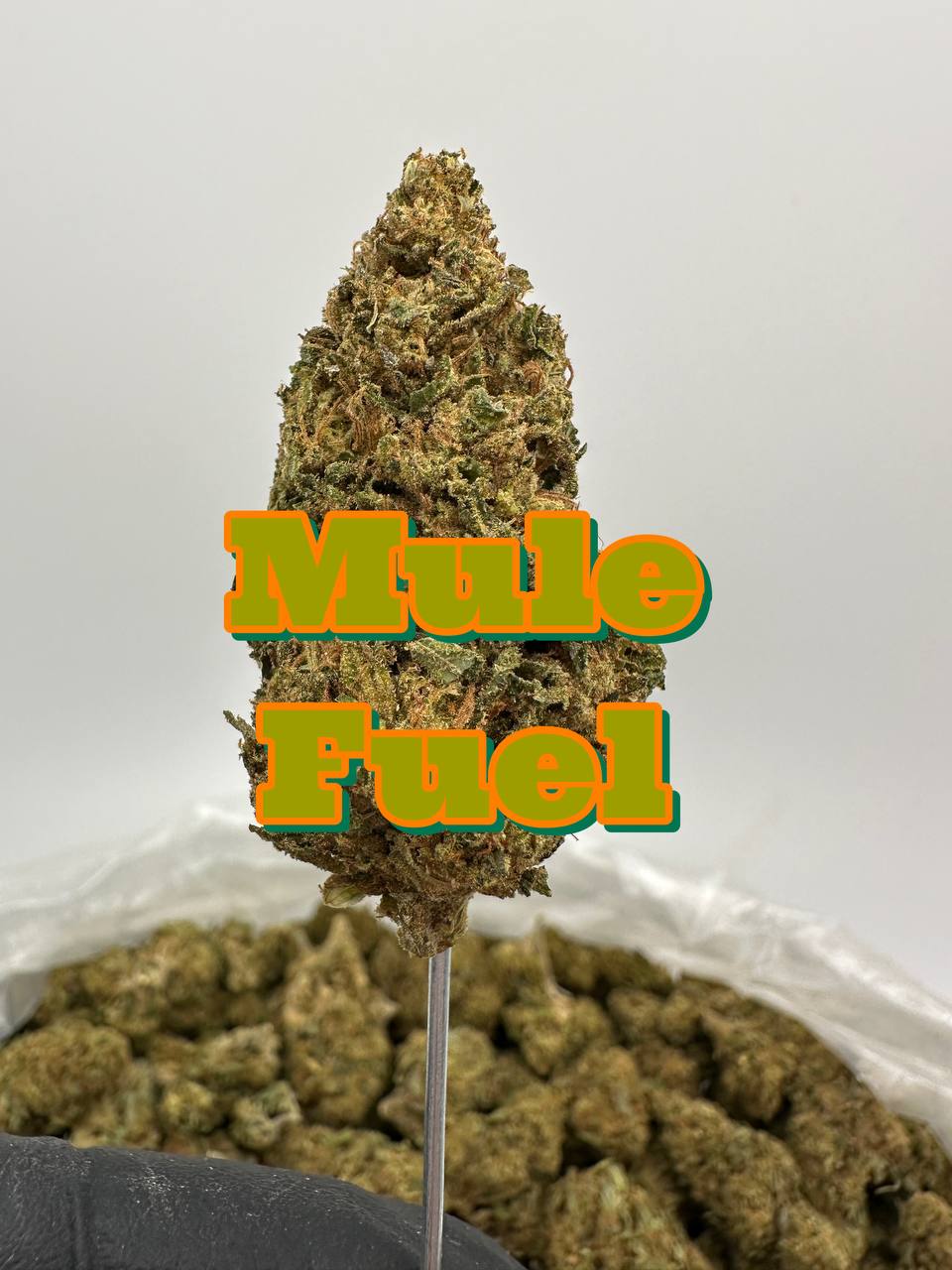 HIGH END OUTDOORS