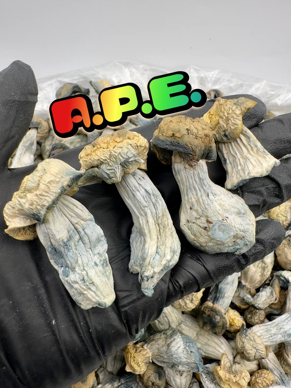 GOD TIER MUSHROOMS