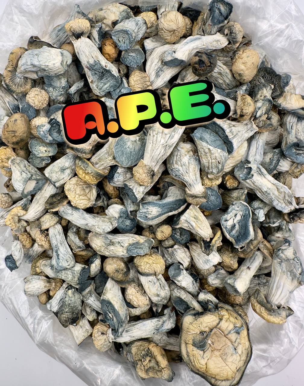 GOD TIER MUSHROOMS